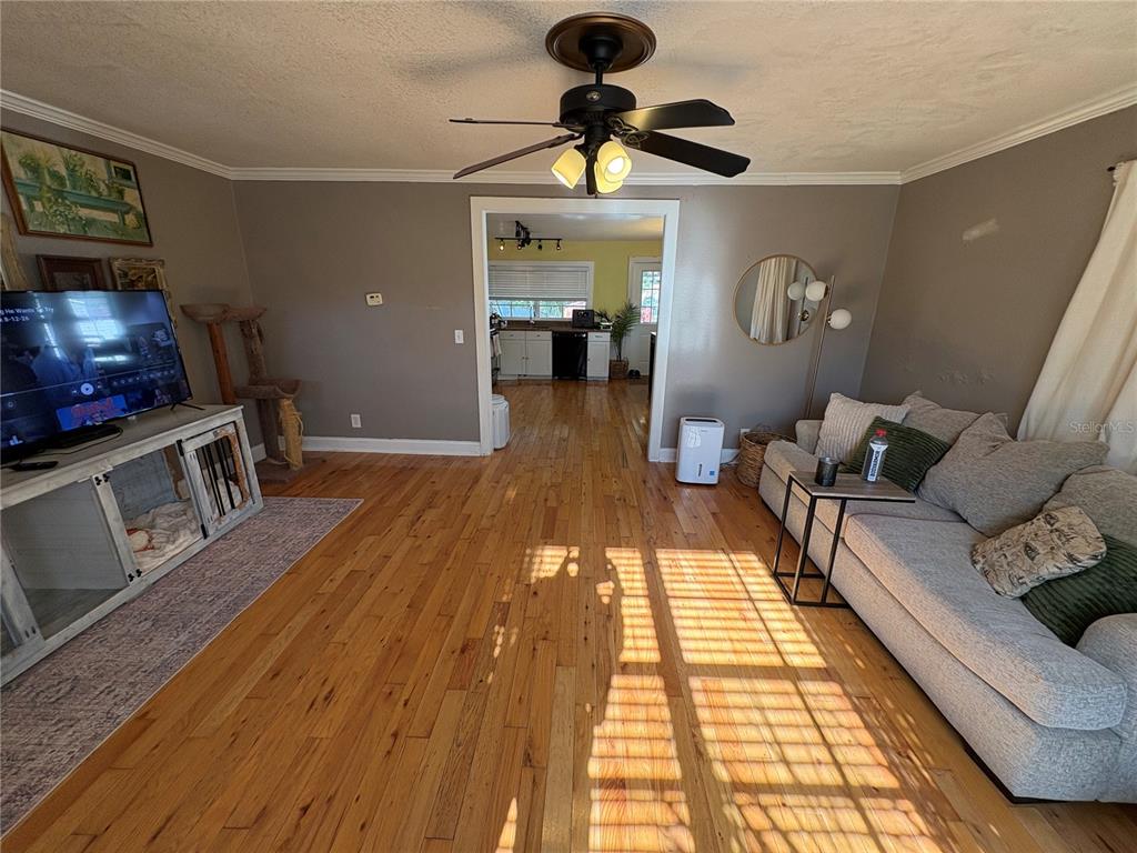 A living room with hardwood floors, a ceiling fan, a sofa, and a television console — 6302 S ADELIA AVENUE, TAMPA, FL