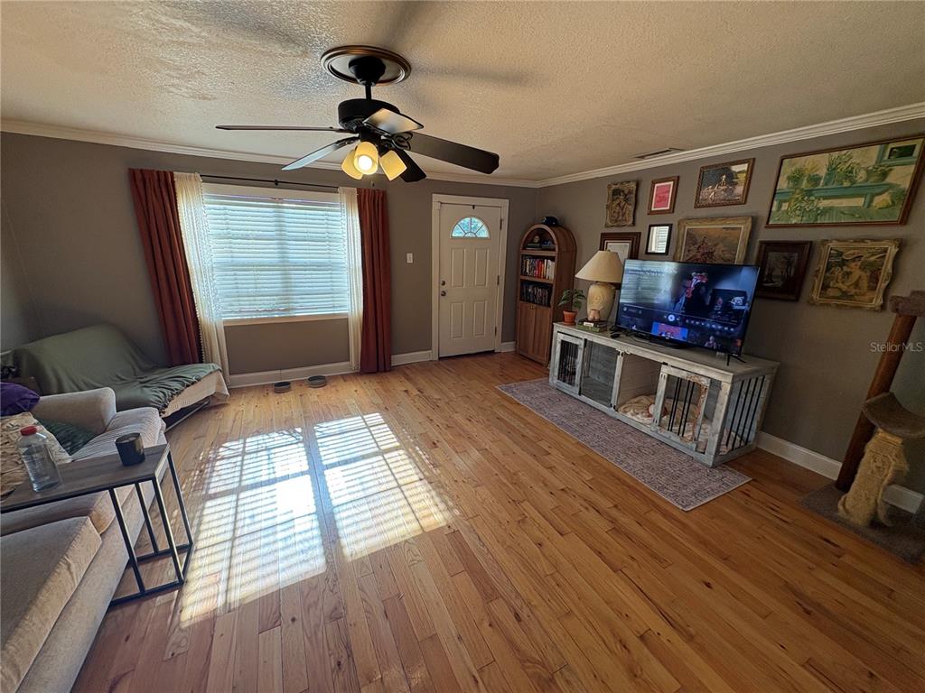 A living room features hardwood floors, a ceiling fan, a television console, and a window — 6302 S ADELIA AVENUE, TAMPA, FL