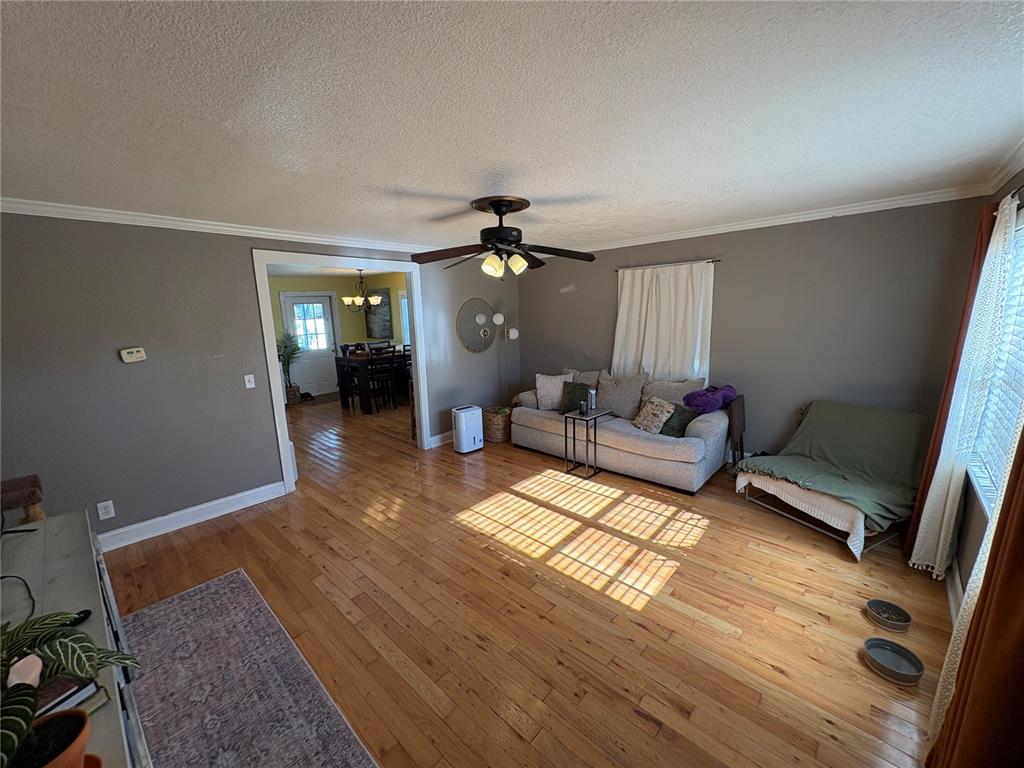 A living room features hardwood floors, a ceiling fan, and a sofa against a gray wall — 6302 S ADELIA AVENUE, TAMPA, FL