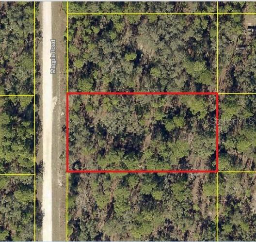 An aerial map view shows a rectangular plot of land outlined in red along a road — 16026 MAGPIE ROAD, WEEKI WACHEE, FL