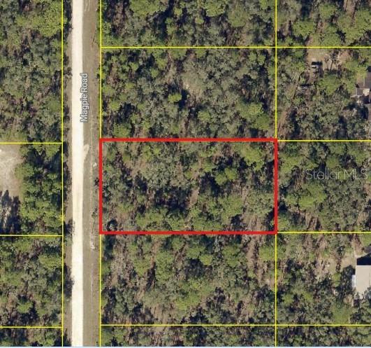 An aerial view shows a rectangular plot of land outlined in red along a road — 16026 MAGPIE ROAD, WEEKI WACHEE, FL
