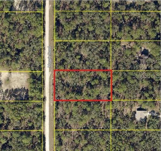 An aerial view shows a rectangular plot of land outlined in red along a road — 16026 MAGPIE ROAD, WEEKI WACHEE, FL