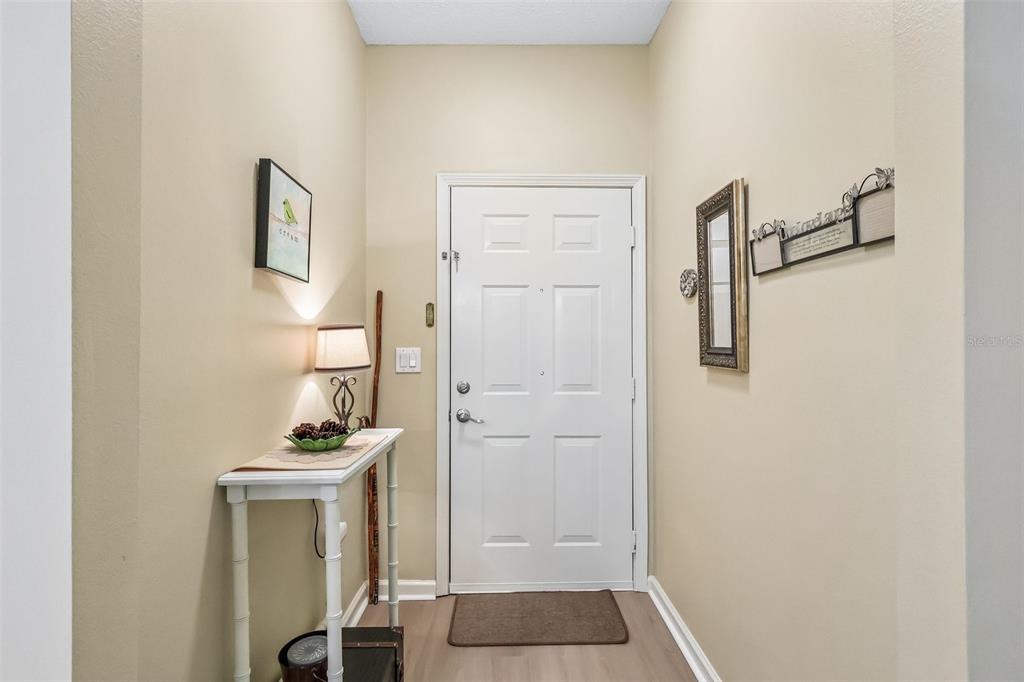 A white front door opens into a small entryway with a console table and decor — 12016 VILLANOVA DRIVE UNIT 102, ORLANDO, FL