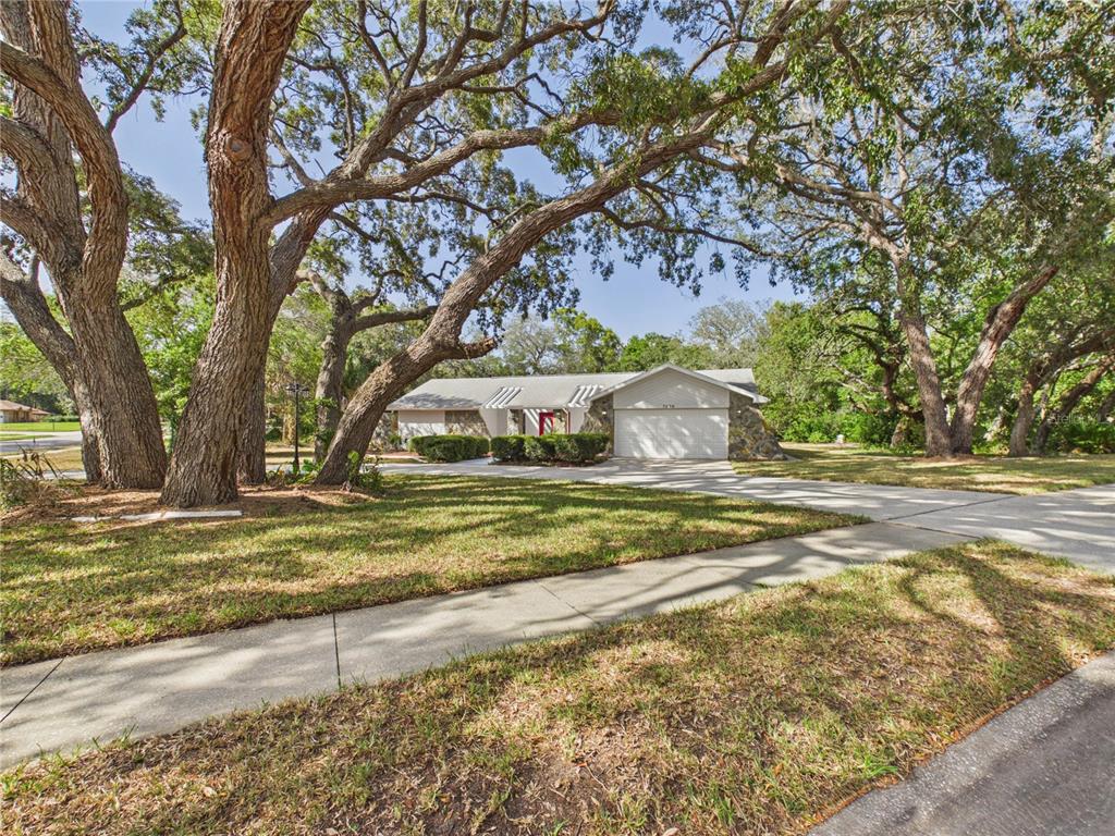 7256 ROYAL OAK DRIVE, SPRING HILL, FL — photo 2 of 30