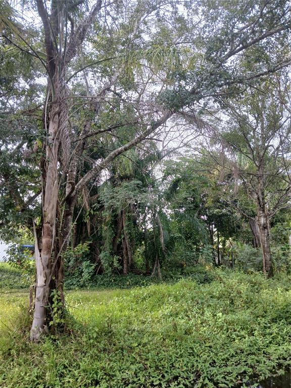 18565 N 16TH AVENUE E, ORLANDO, FL — photo 3 of 8