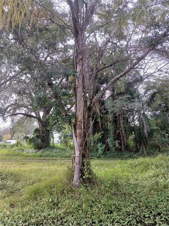 18565 N 16TH AVENUE E, ORLANDO, FL — photo 4 of 8