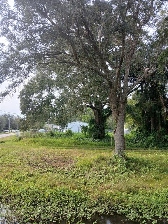 18565 N 16TH AVENUE E, ORLANDO, FL — photo 5 of 8