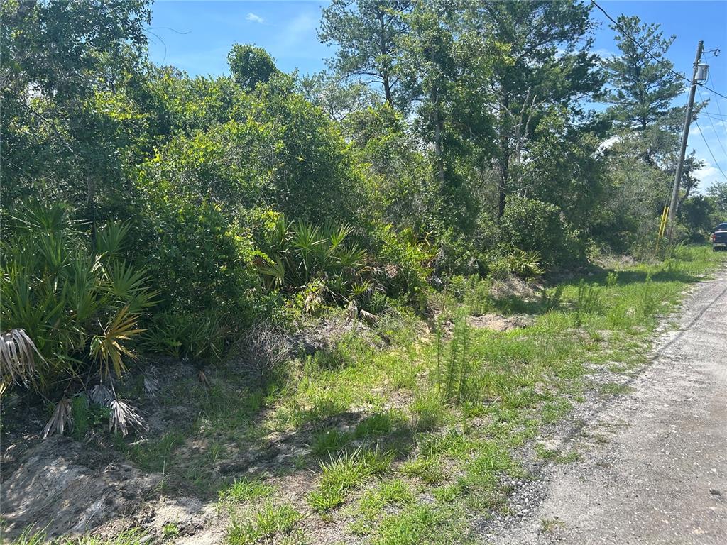 A dirt road runs alongside a wooded lot with dense vegetation and palm plants — WALDOR AVENUE, ORANGE CITY, FL, FL