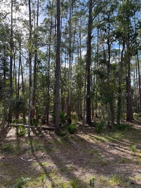 207 OCALA COURT