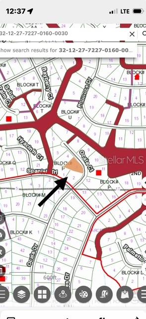 This is a map showing a highlighted parcel of land located at the corner of Ocala Court — 207 OCALA COURT, GEORGETOWN, FL