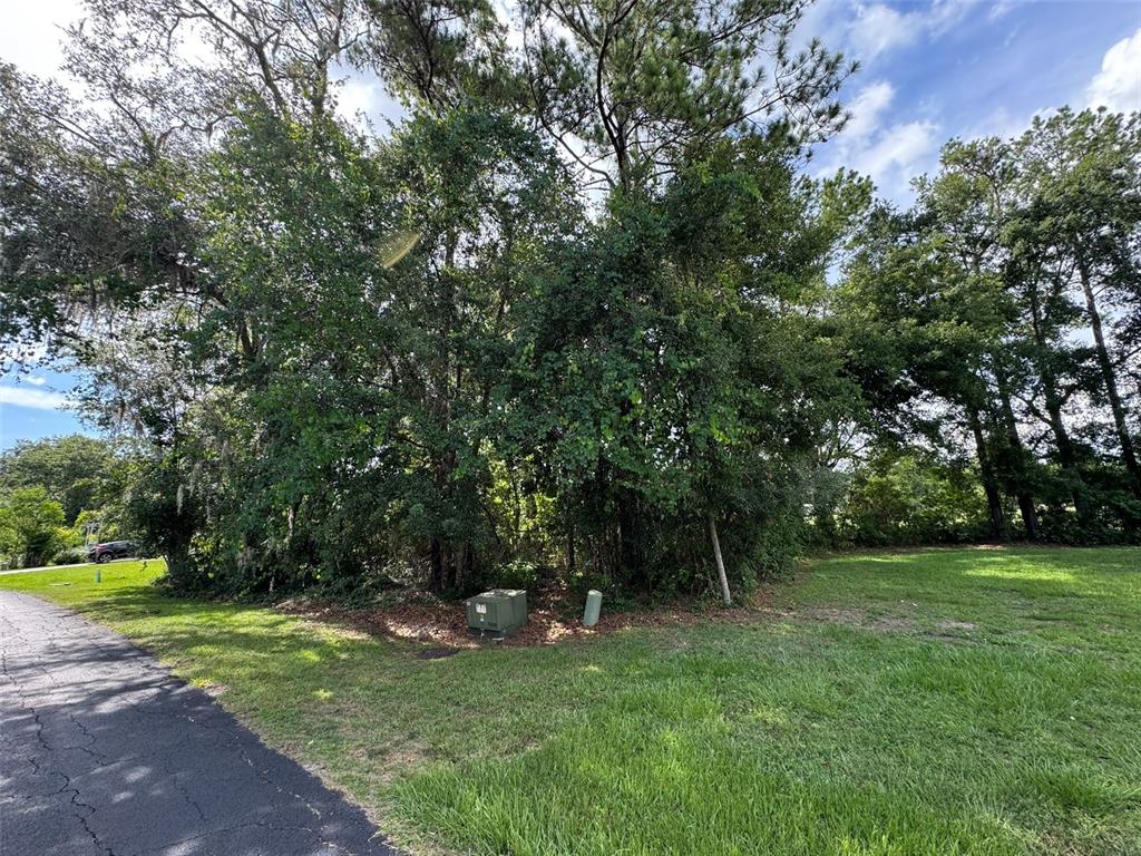 A grassy lot with mature trees and utility boxes sits next to a paved road — 18035 GLEN RAVEN BOULEVARD, BROOKSVILLE, FL