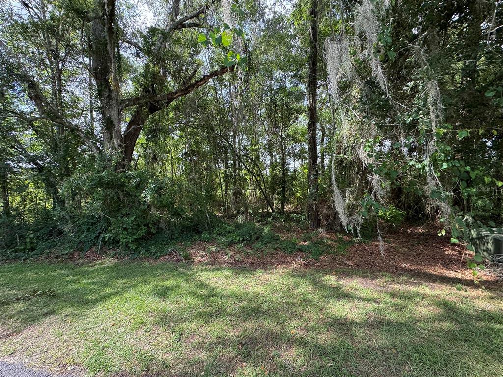 A grassy foreground leads to a dense, wooded area filled with trees and hanging moss — 18035 GLEN RAVEN BOULEVARD, BROOKSVILLE, FL