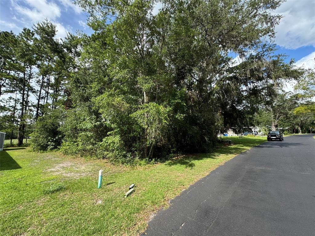A grassy corner lot features dense trees and shrubs next to an asphalt road — 18035 GLEN RAVEN BOULEVARD, BROOKSVILLE, FL