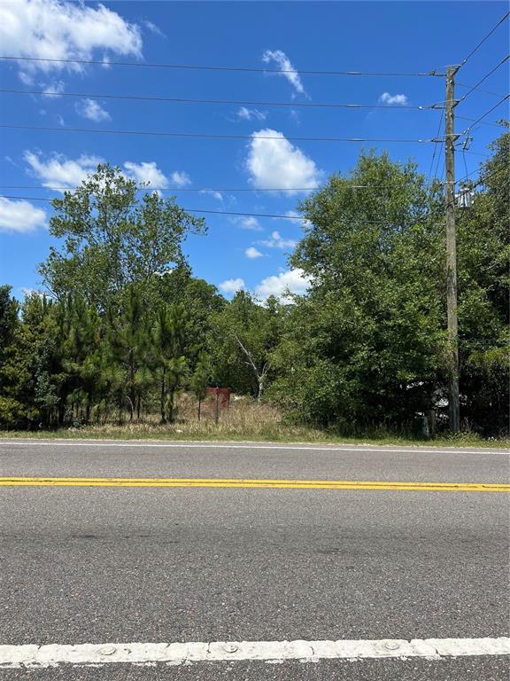 A paved road runs in front of a wooded lot with a utility pole — 2519 STATE ROAD 33, CLERMONT, FL