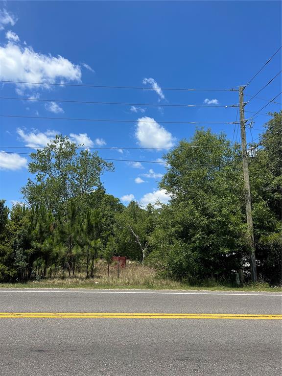 A paved road runs in front of a wooded, undeveloped lot with a utility pole — 2519 STATE ROAD 33, CLERMONT, FL