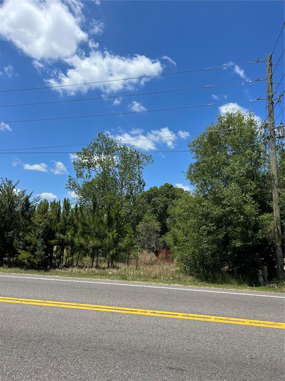 A paved road runs in front of a wooded, undeveloped lot with a utility pole — 2519 STATE ROAD 33, CLERMONT, FL