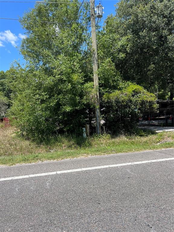 A utility pole stands in front of dense trees and brush next to an asphalt road — 2519 STATE ROAD 33, CLERMONT, FL