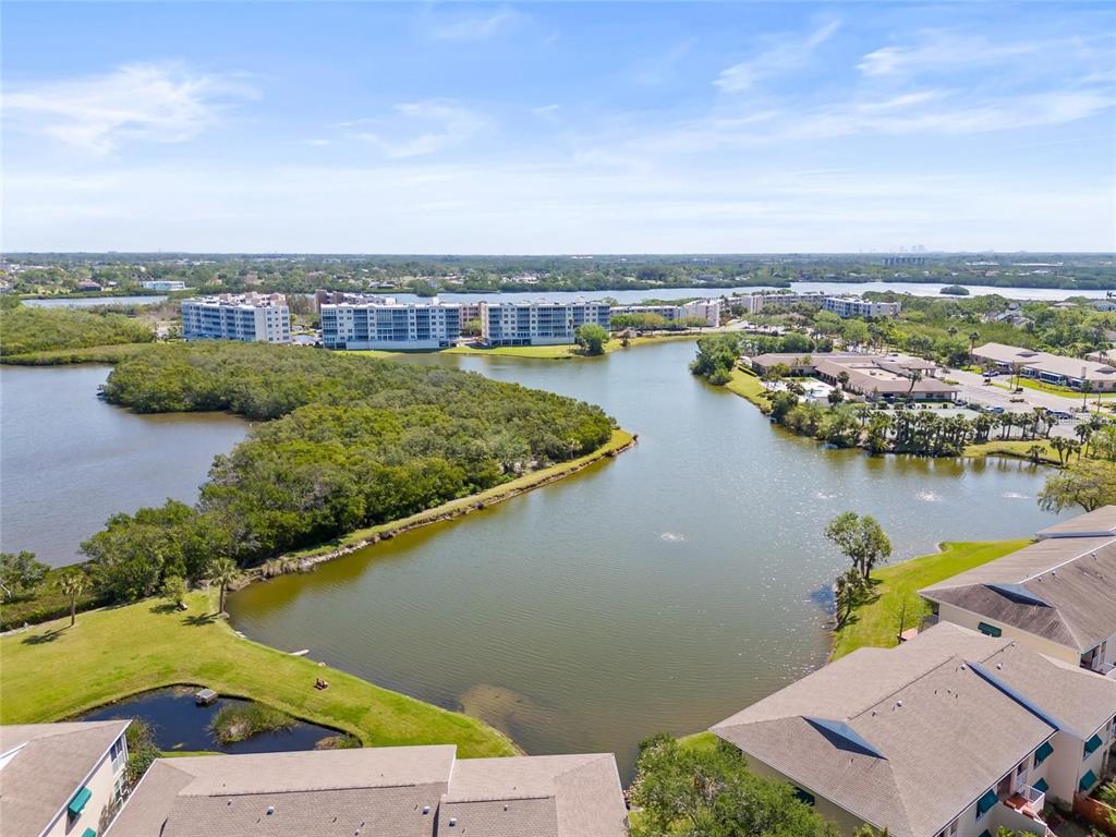 An aerial view shows a lake surrounded by residential buildings and dense green vegetation — 10032 65TH AVENUE N UNIT 24, ST PETERSBURG, FL