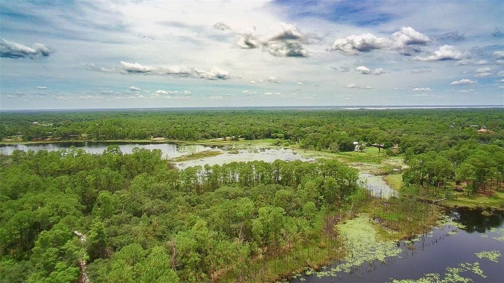 An aerial view of a lake surrounded by dense forest under a cloudy sky — 0000 CAROLYN STREET, DELTONA, FL