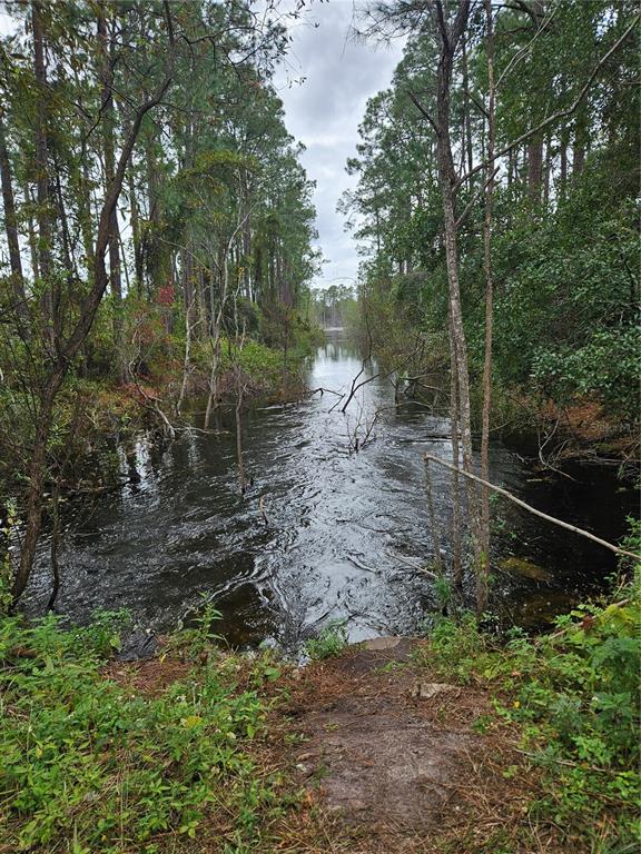 A narrow, dark waterway flows through a wooded area with trees lining both banks — 0000 CAROLYN STREET, DELTONA, FL