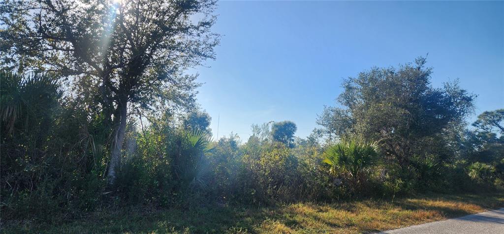 A view of a densely wooded, undeveloped lot with native trees and shrubs — 14025 PARIS LANE, PORT CHARLOTTE, FL