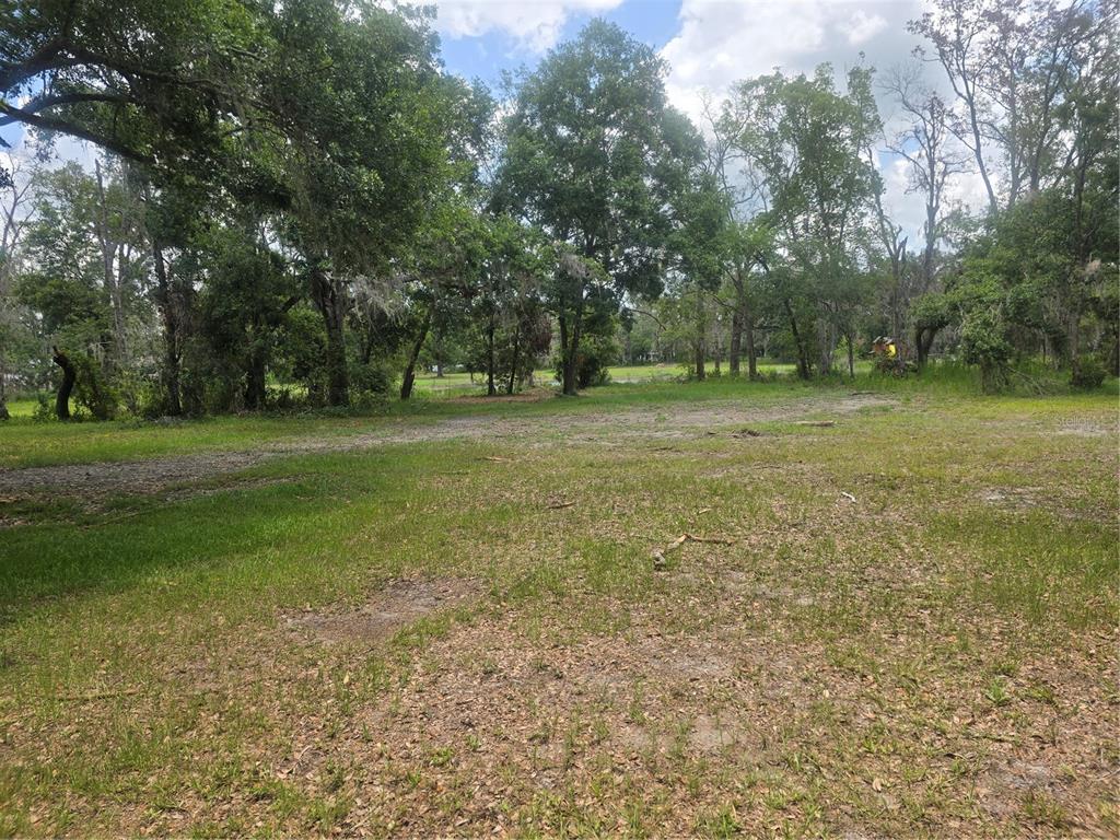 A grassy, partially cleared lot features scattered trees and a dirt path under a cloudy sky — 22838 BUNGALOW LANE, LAND O LAKES, FL