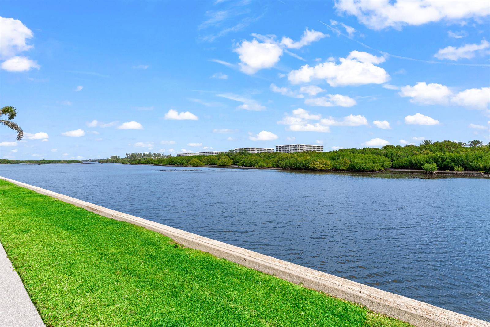 A grassy lawn borders a calm waterway with a line of trees and distant buildings — 2185 Ibis Isle Road # 1, Palm Beach FL 33480, PALM BEACH, FL