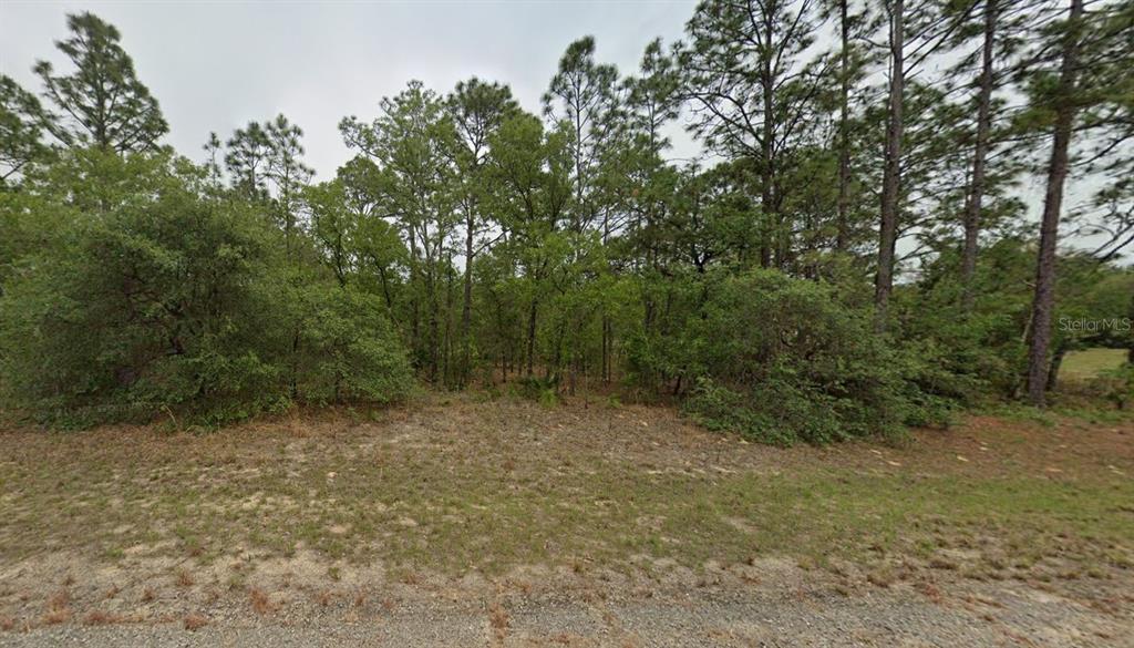 A vacant, wooded lot features a mix of tall pine trees and dense underbrush — 7627 N DALTON TERRACE, DUNNELLON, FL