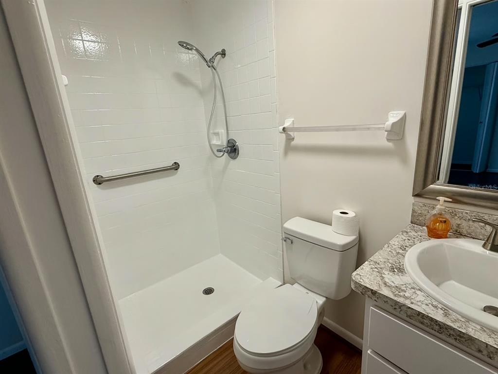 A bathroom features a walk-in shower with a grab bar, a toilet, and a vanity — 6862 SE 52 PLACE, OCALA, FL