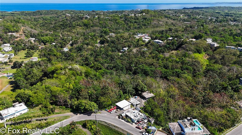 An aerial view shows a coastal landscape with dense forest, scattered houses, and a road — Carr. 414 KM 3.2 BO.CRUCES, AGUADA, PR