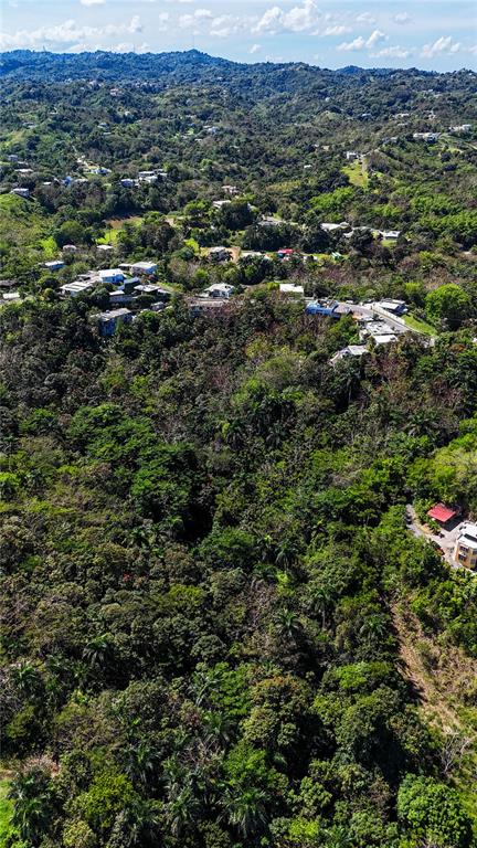 An aerial view shows a lush, forested hillside with scattered residential buildings and distant mountains — Carr. 414 KM 3.2 BO.CRUCES, AGUADA, PR