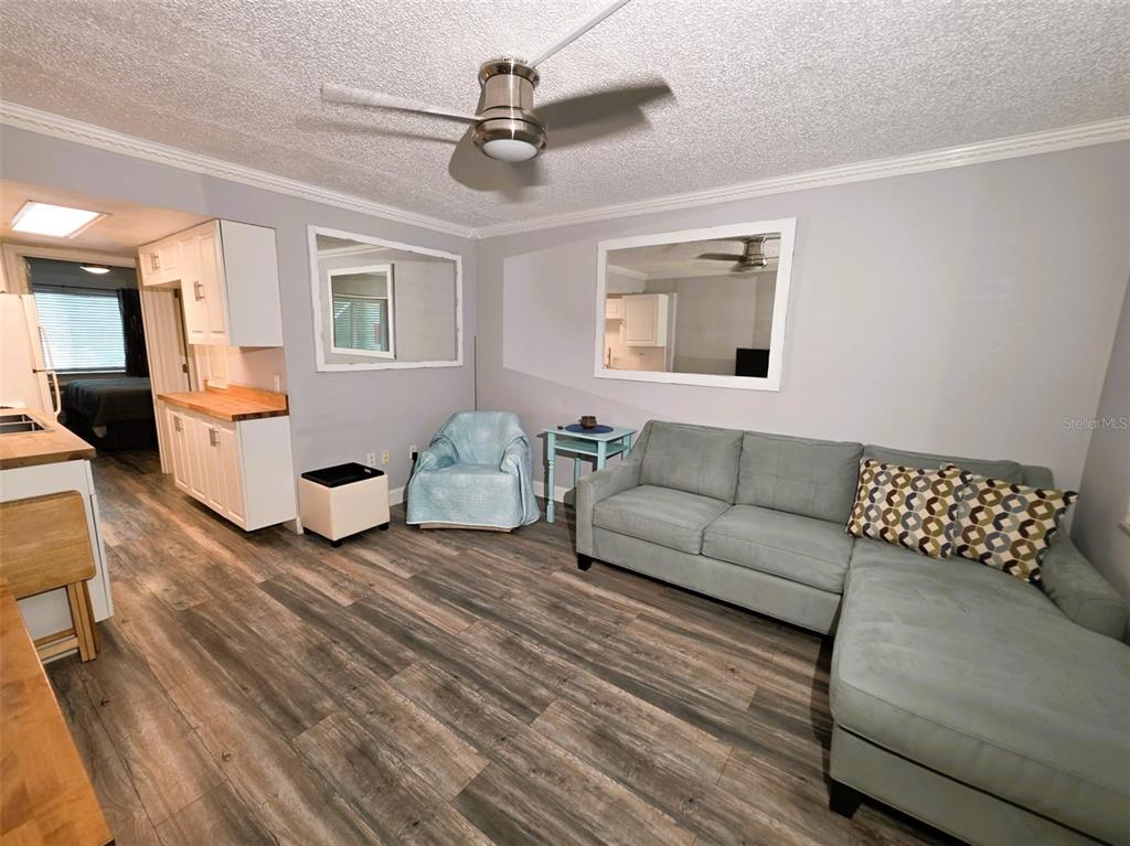 A living area features wood-look flooring, a grey sofa, a blue armchair, and wall mirrors — 1865 MAZO MANOR UNIT J3, LUTZ, FL