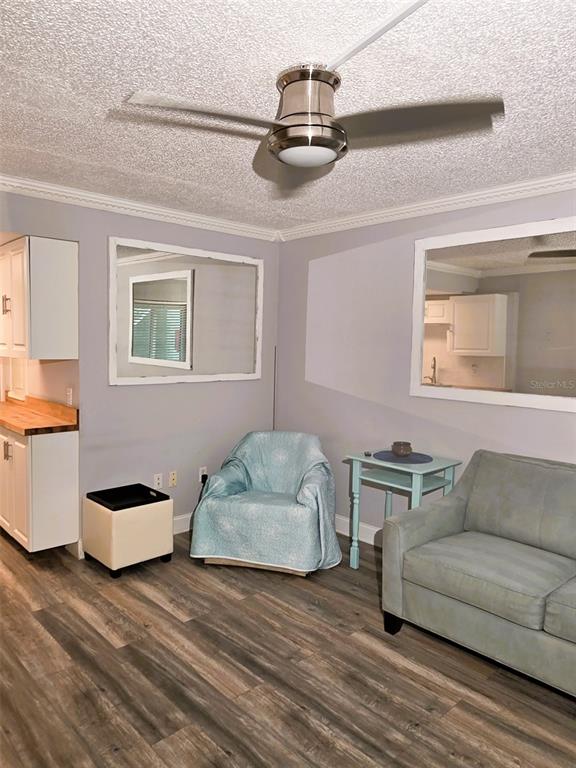 A living room features light gray walls, wood-look flooring, a ceiling fan, and two mirrors — 1865 MAZO MANOR UNIT J3, LUTZ, FL