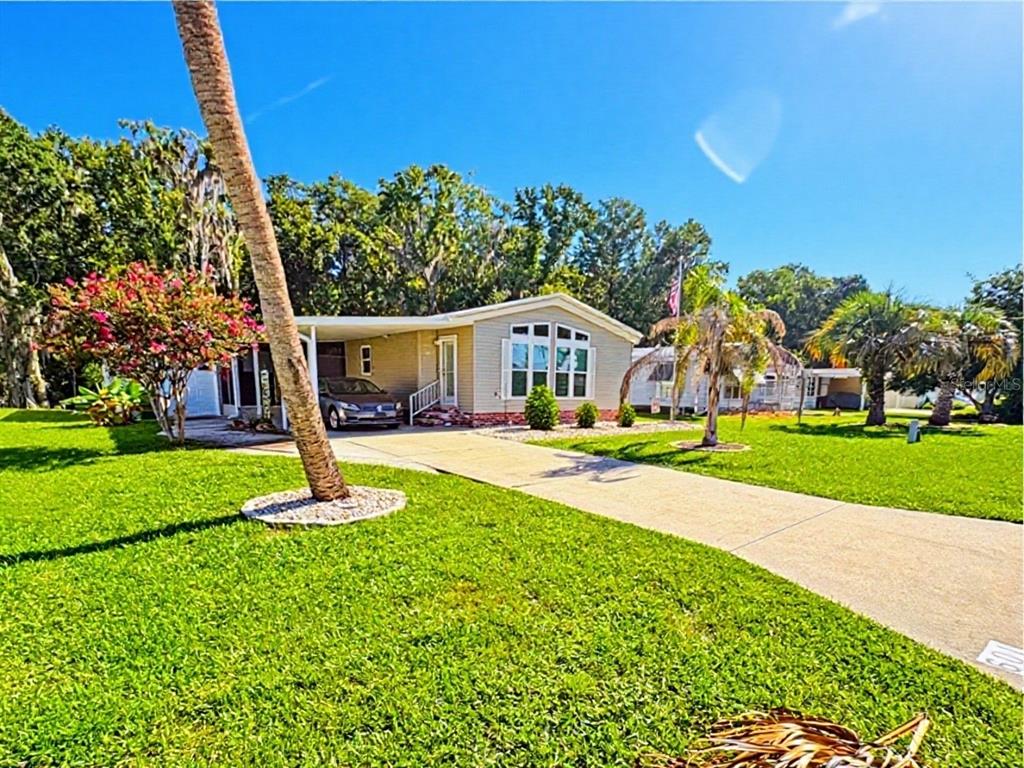 A single-story manufactured home with a concrete driveway and a large palm tree in front — 601 ROBIN LANE, WILDWOOD, FL