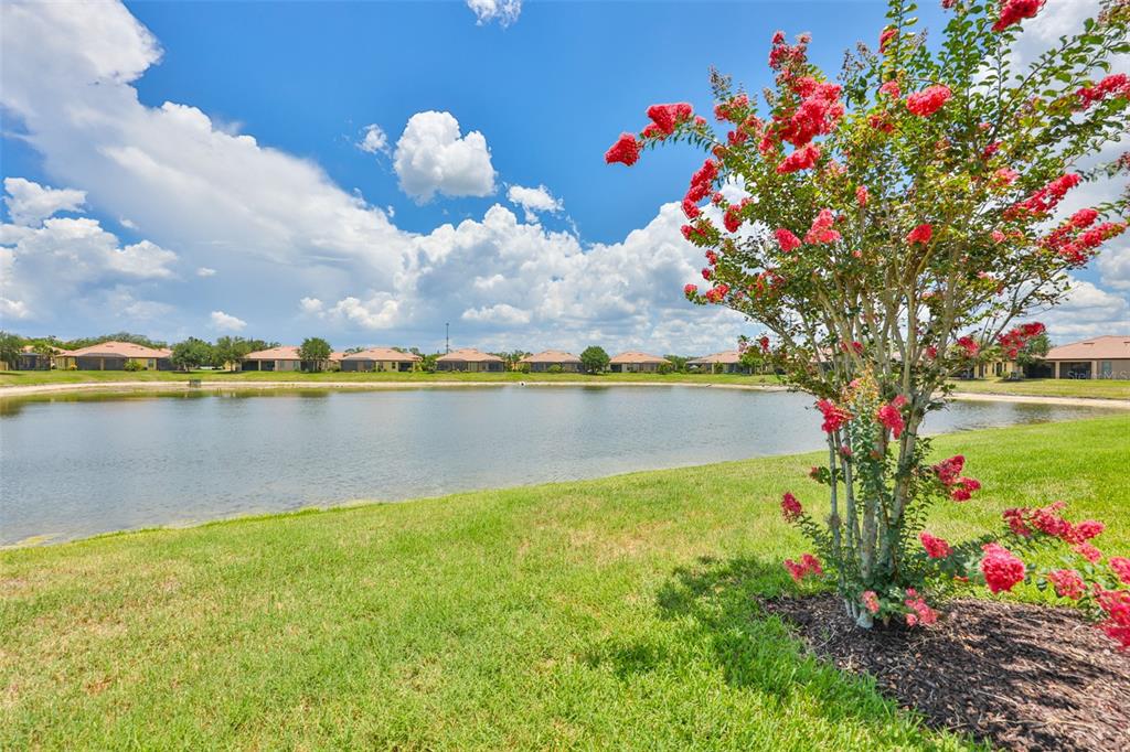 A vibrant crape myrtle tree stands beside a pond with residential houses in the background — 5532 SUNSET FALLS DRIVE, APOLLO BEACH, FL