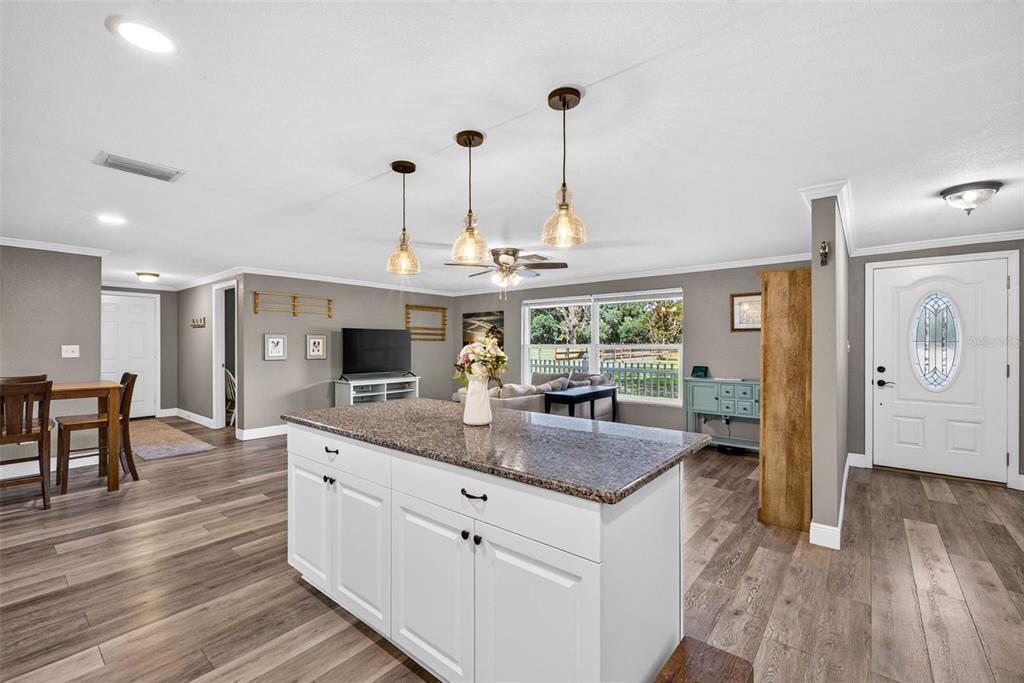 A kitchen island with granite countertops sits in an open-concept living area with wood-look flooring — 5702 TINDALE ROAD, PLANT CITY, FL