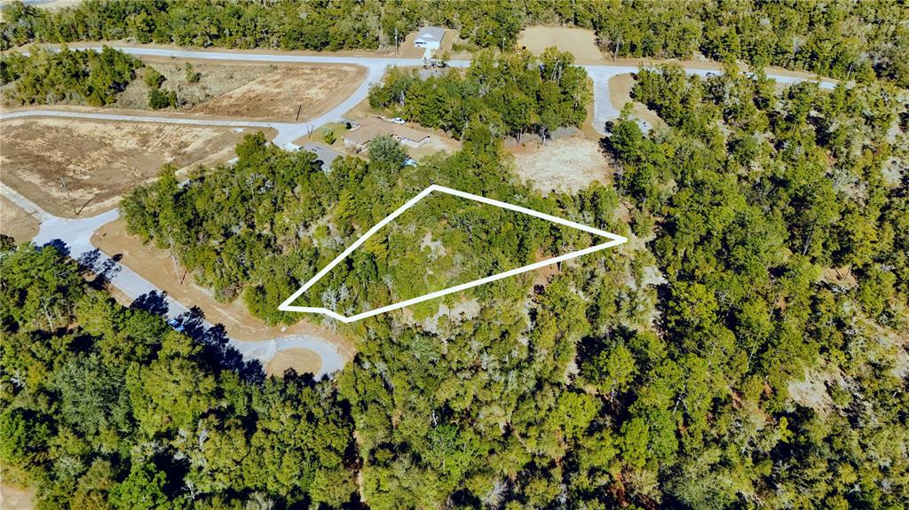 An aerial view shows a wooded, triangular-shaped vacant lot outlined in white — 00 LARK COURT, CHIPLEY, FL