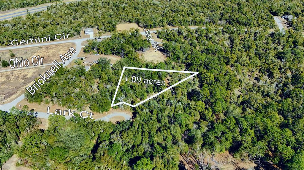 An aerial view shows a wooded 1.09-acre plot of land near a residential cul-de-sac — 00 LARK COURT, CHIPLEY, FL