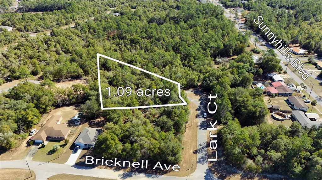 An aerial view shows a wooded 1.09-acre lot located at a street intersection — 00 LARK COURT, CHIPLEY, FL