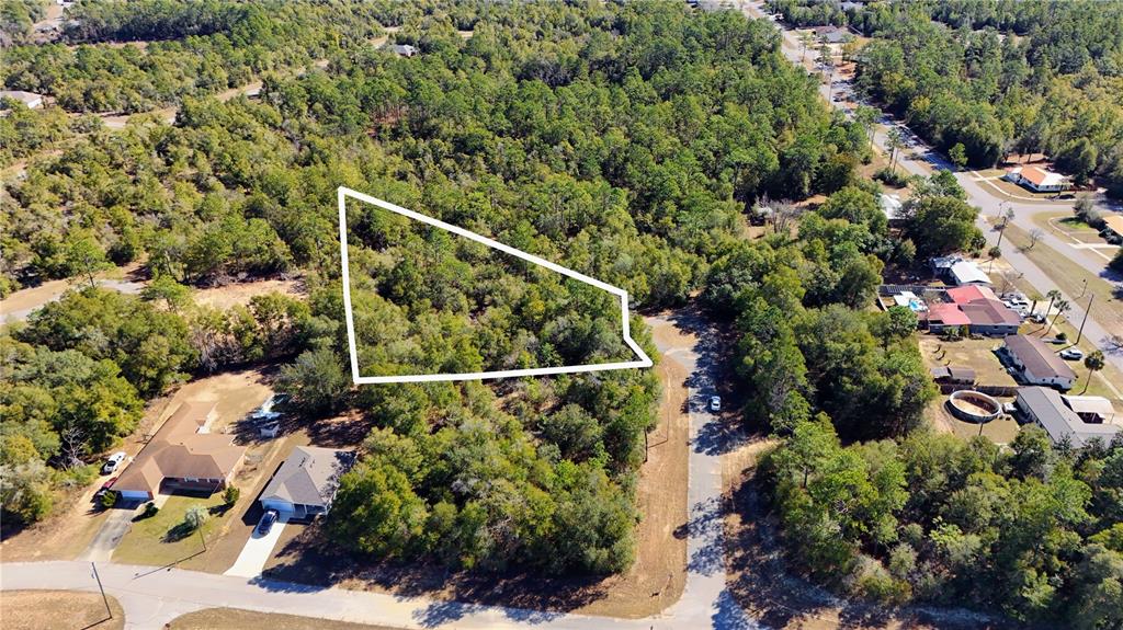 An aerial view shows a vacant, wooded lot outlined in white next to a paved road — 00 LARK COURT, CHIPLEY, FL