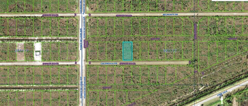 This is a satellite map showing a highlighted rectangular land parcel located along a dirt road — 316 CALENDULA DRIVE, INDIAN LAKE ESTATES, FL