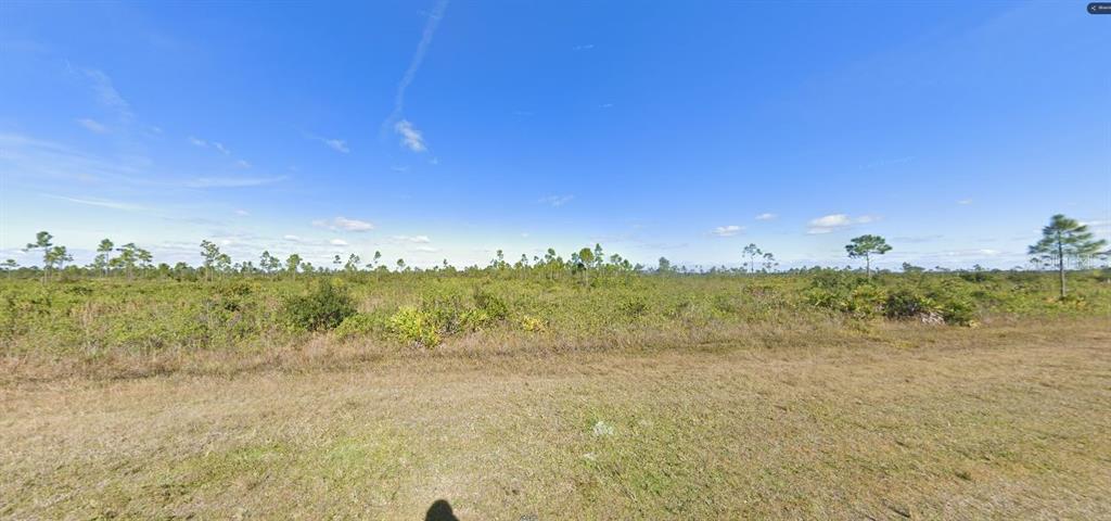 A wide, flat, grassy field with scattered small trees under a clear blue sky — 316 CALENDULA DRIVE, INDIAN LAKE ESTATES, FL
