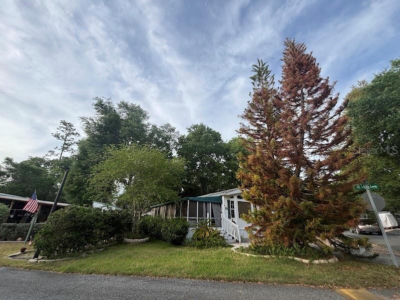 A white house with a screened porch sits behind a large, partially brown evergreen tree — 25155 NE 142ND LANE UNIT 212, FORT MC COY, FL