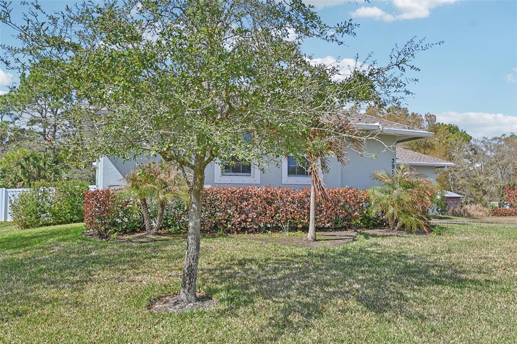 A single-story house exterior features a light gray facade, a manicured hedge, and a tree — 3955 OAK HOLLOW AVENUE, VERO BEACH, FL