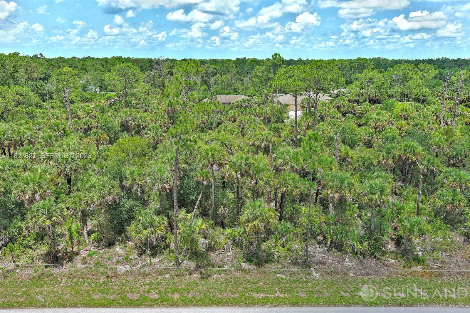 An aerial view shows a densely wooded lot with palm trees and distant houses — 134 S NAVARRA AVE, Lehigh Acres FL 33974, LEHIGH ACRES, FL
