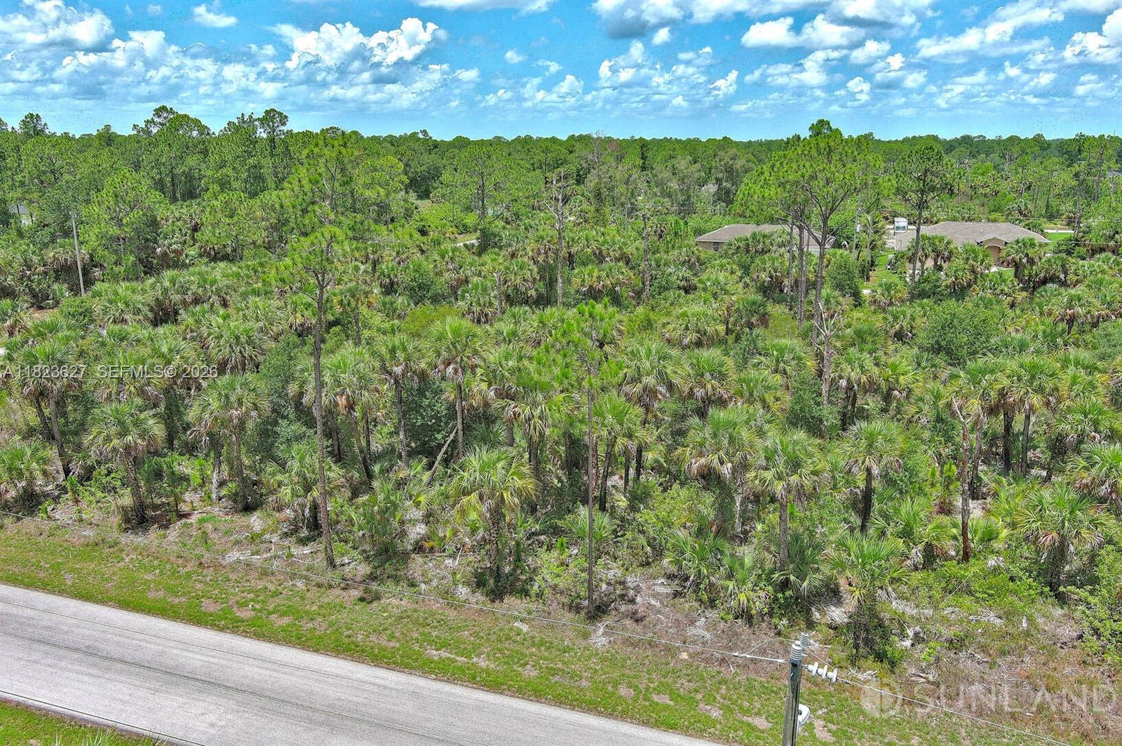 An aerial view shows a paved road bordering a dense, wooded lot with pine trees — 134 S NAVARRA AVE, Lehigh Acres FL 33974, LEHIGH ACRES, FL