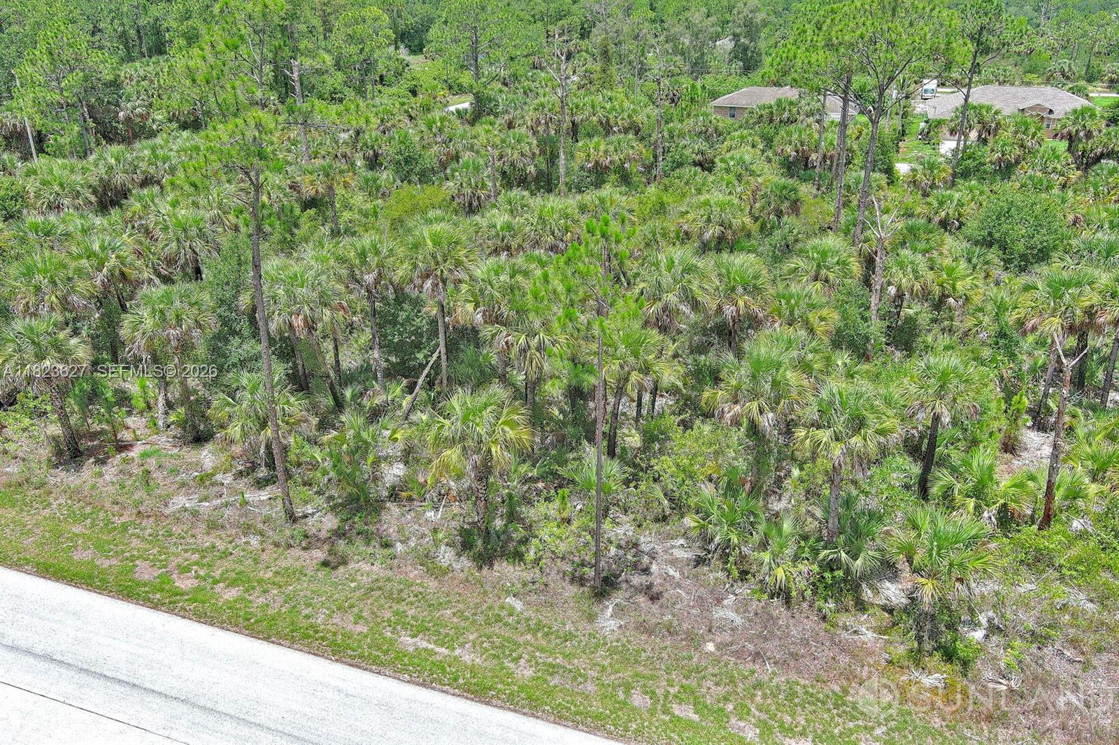 An aerial view shows a vacant, wooded lot with dense palm trees and vegetation — 134 S NAVARRA AVE, Lehigh Acres FL 33974, LEHIGH ACRES, FL