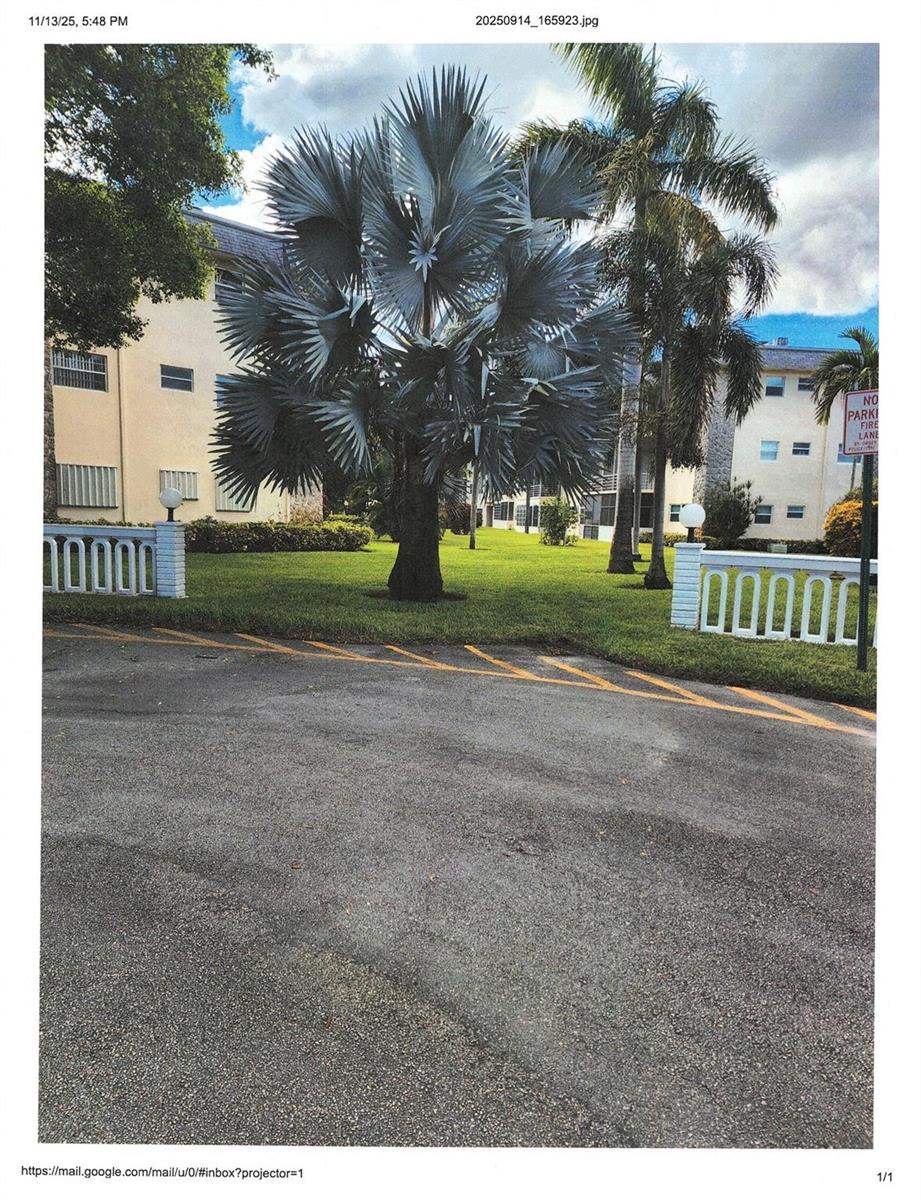 A large silver palm tree stands on a lawn in front of apartment buildings — 4411 NW 16, Lauderhill FL 33313, LAUDERHILL, FL