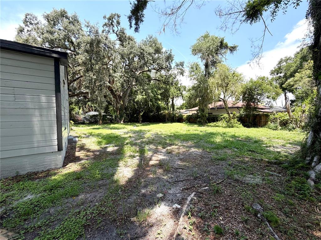 A view of a grassy backyard with large trees and a house exterior on the left — 629 AVENUE A NE, WINTER HAVEN, FL
