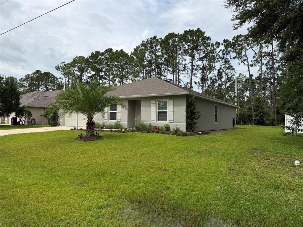 A single-story house with a light-colored stucco exterior, a palm tree, and a grassy lawn — 177 UNDERWOOD TRAIL, PALM COAST, FL